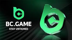 Exploring the Future of Online Gaming with BC Hash Game Crypto Casino